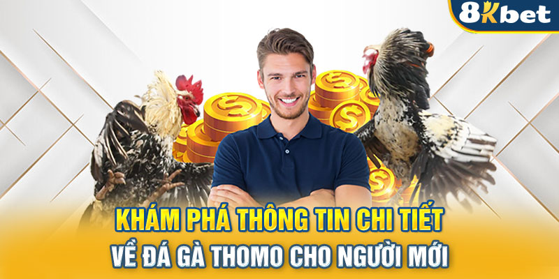 Khám Phá Thông Tin Chi Tiết Về Đá Gà Thomo Cho Người Mới