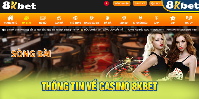 Thông tin về casino 8KBET